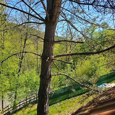 Feriehus Nad Koupalistem Machuv Kraj *